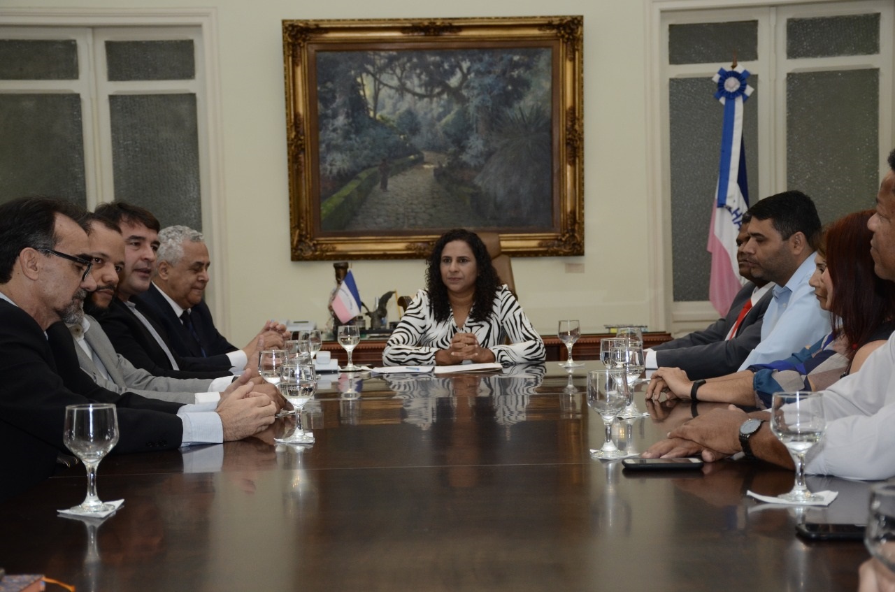 posse Conselhos 2
